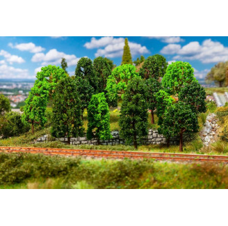 Faller 15 deciduous trees