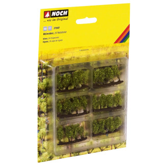Noch Vines HO/TT