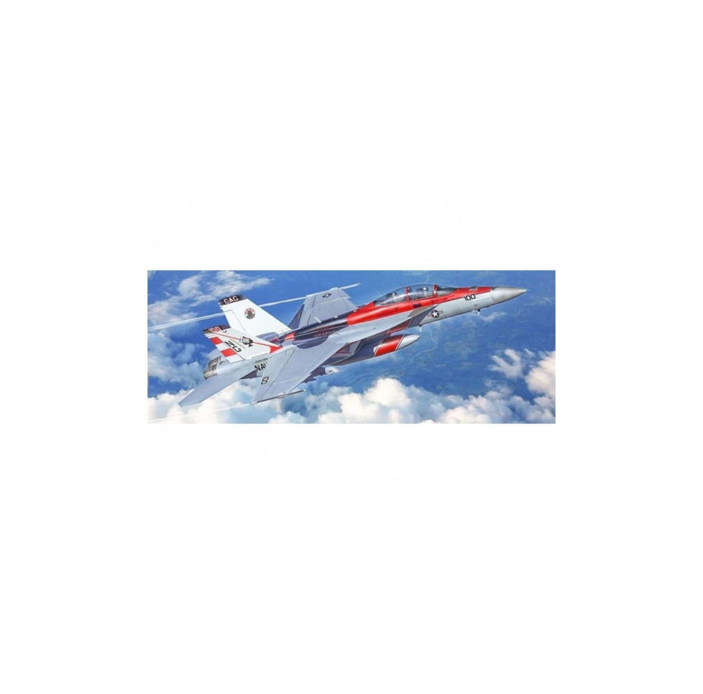1:48 F/A-18F U.S. Navy Sp