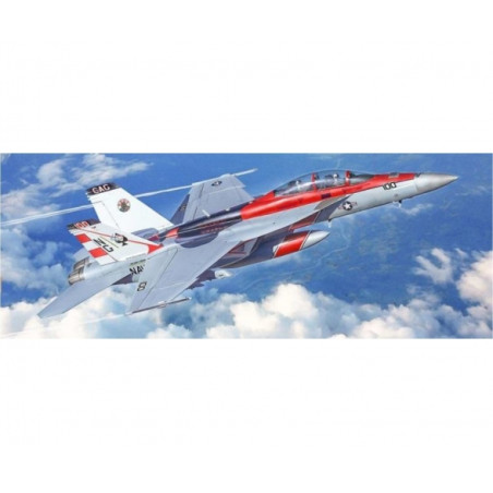 1:48 F/A-18F U.S. Navy Sp