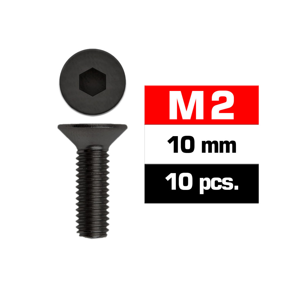 PARAFUSOS M2X10MM(10UN)