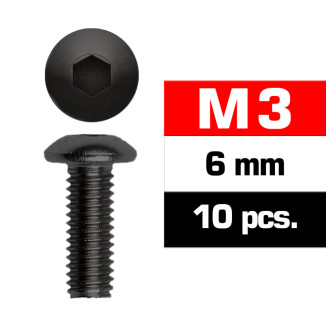 Parafusos M3x6mm (10un.)