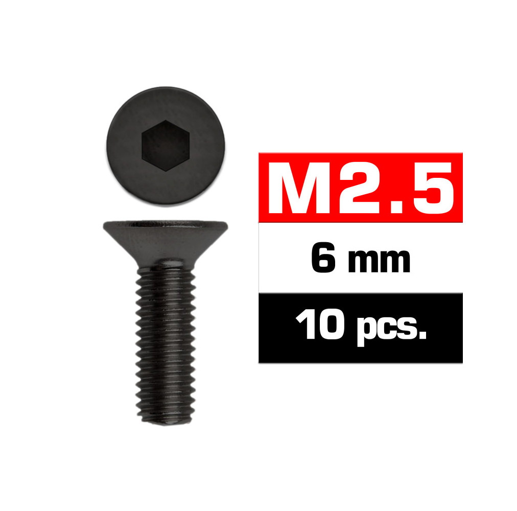 Parafusos M2,5x6mm (10un.