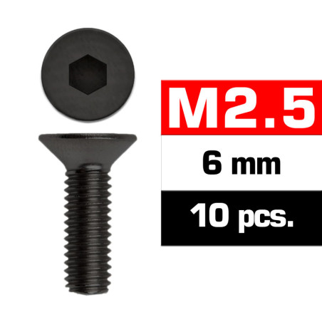 Parafusos M2,5x6mm (10un.