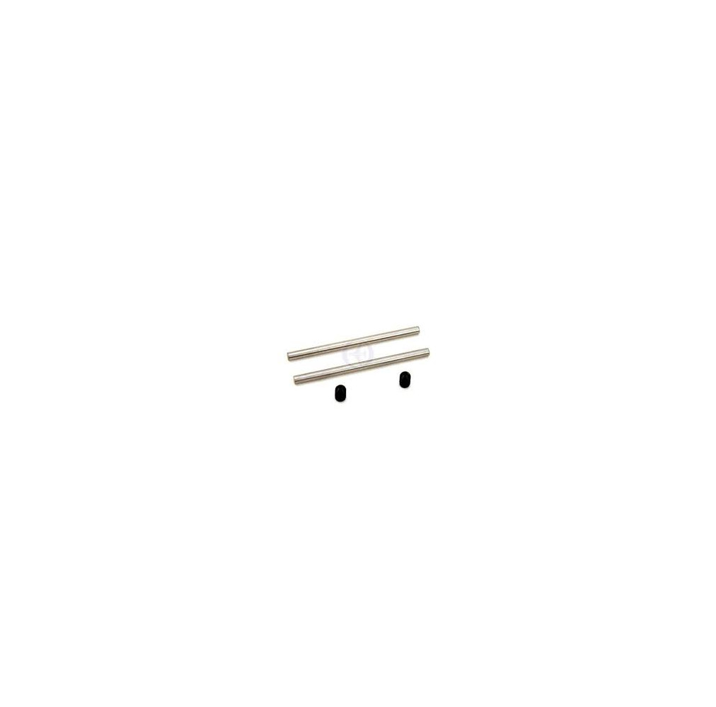 Rear Lower Pin  TS4