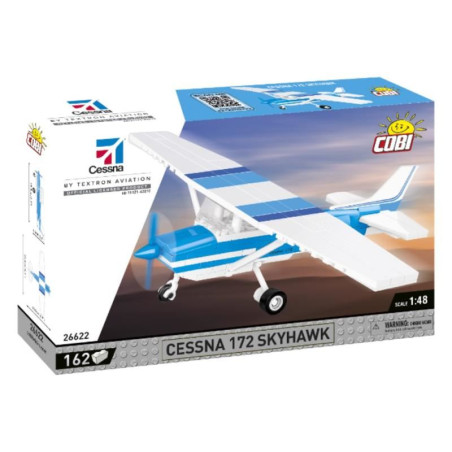 Cessna 172 Skyhawk - Azul