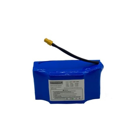 Bateria Litio-ion 36V 600