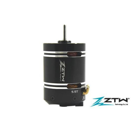 Brushless Motor - 1/10 -