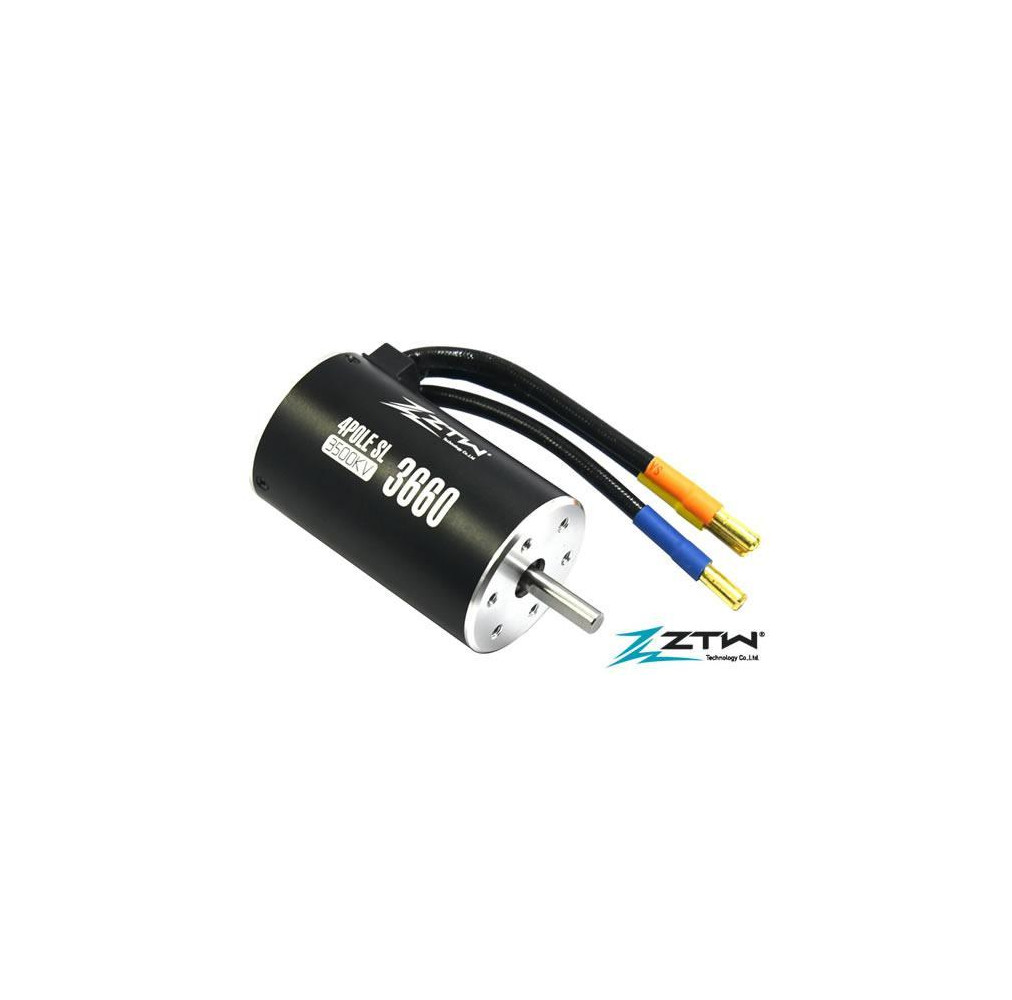 Brushless Motor - 1/10 -