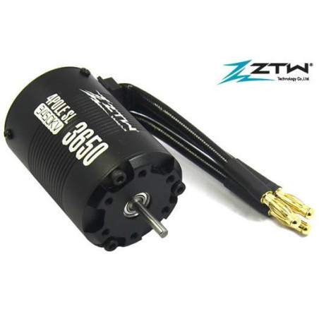 Brushless Motor - 1/10 -