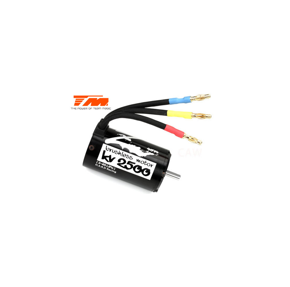 Brushless Motor - HARD Z4
