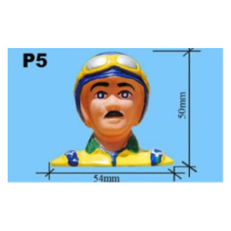 Pilot boarding accessory 