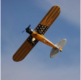 Hobbyzone Carbon Cub S 2