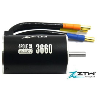 Brushless Motor - 1/10 -