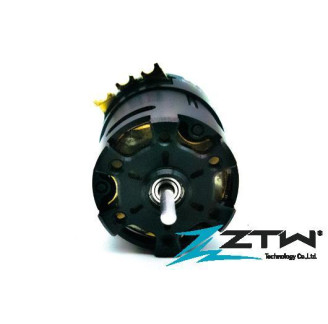 Brushless Motor - 1/10 -