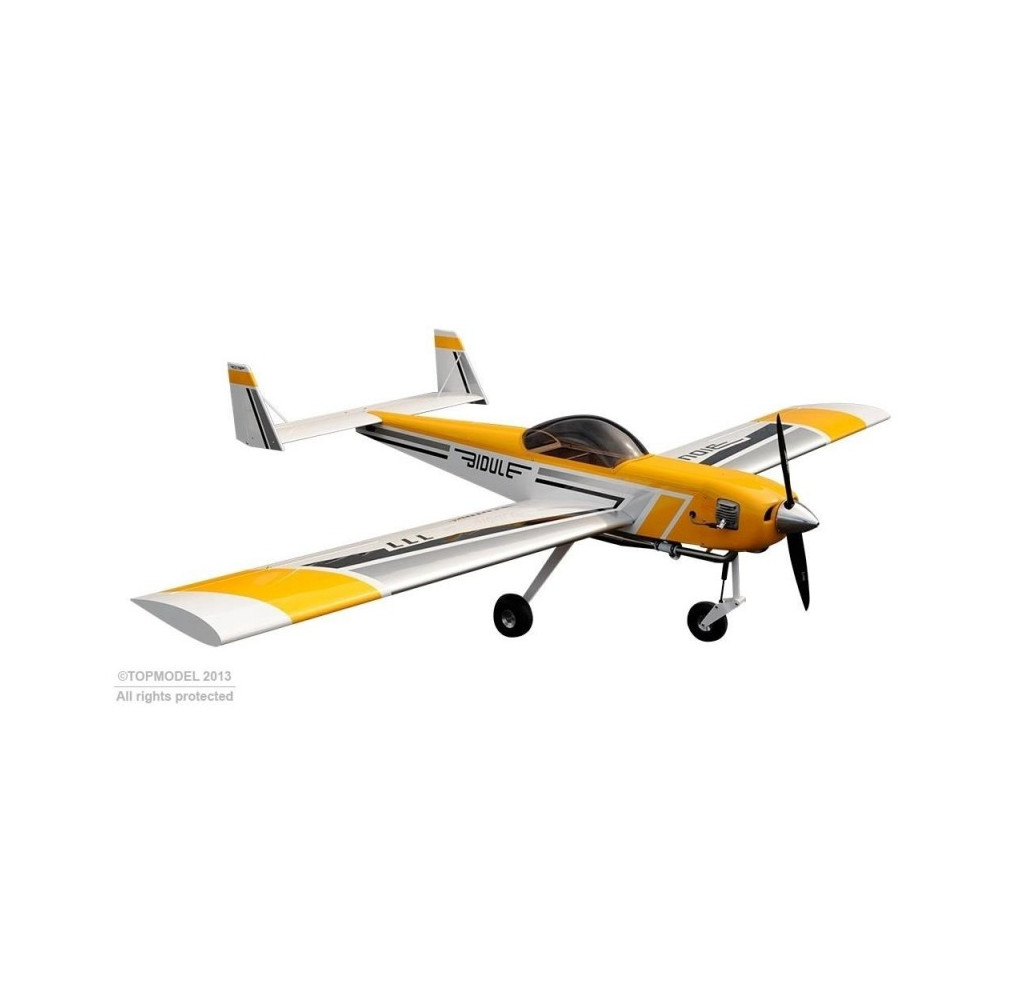 RC plane Ecotop BIDULE 11