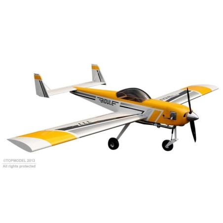 RC plane Ecotop BIDULE 11