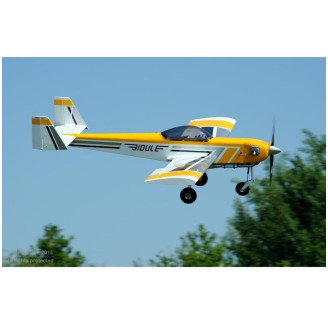 RC plane Ecotop BIDULE 11