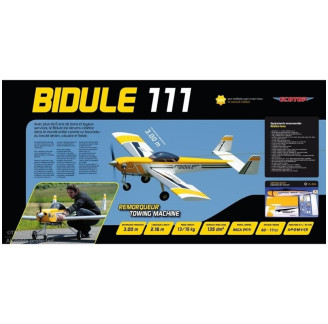 RC plane Ecotop BIDULE 11