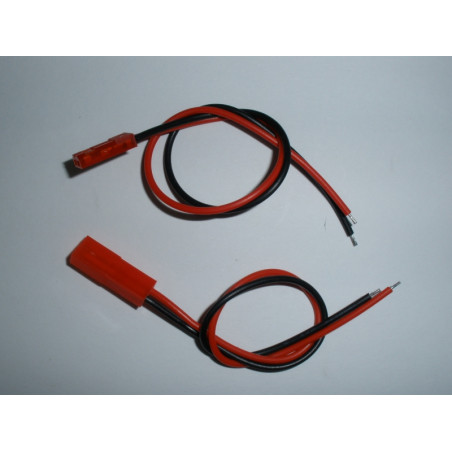 2x Conector JST (macho e