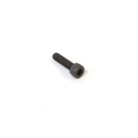 Cylinder screw DA170