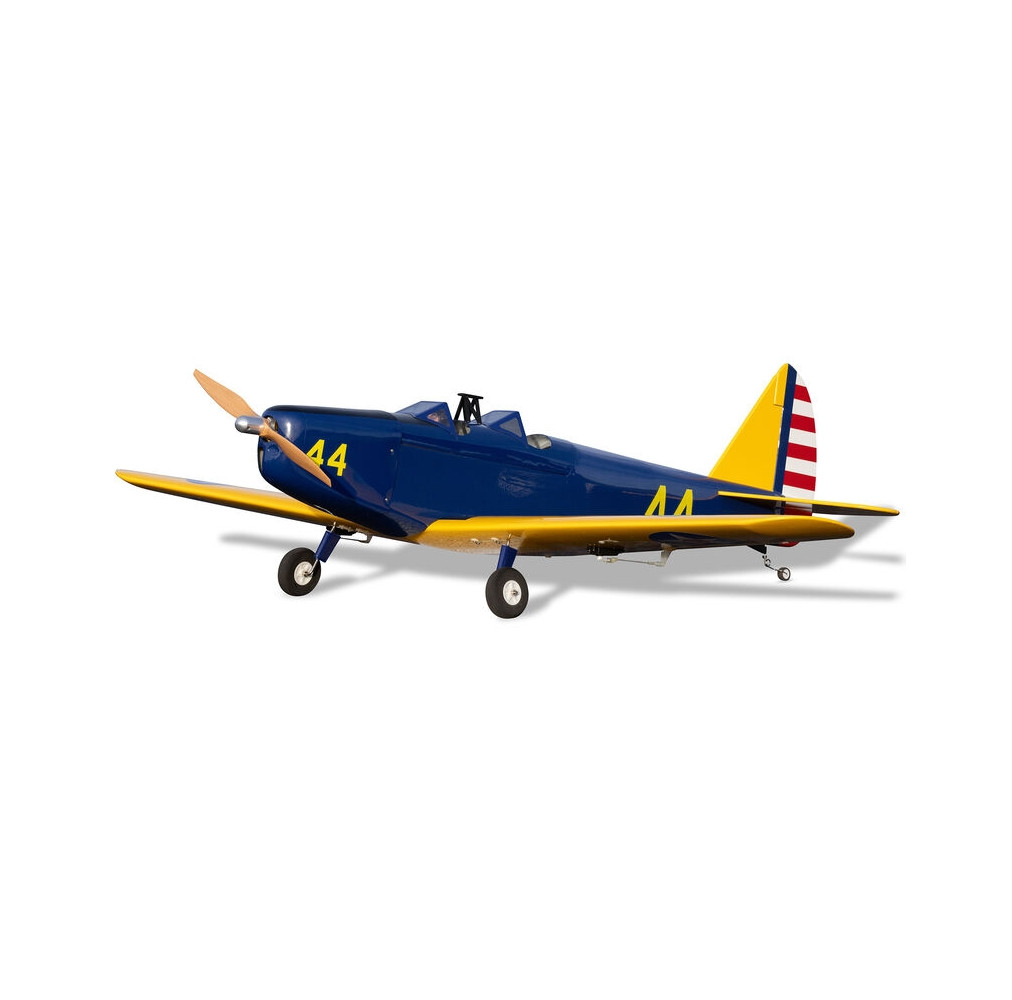 HANGAR 9 PT-19 Fun Scale 
