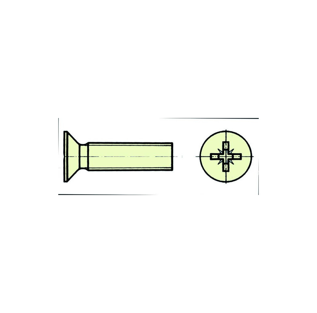 Nylon screw SK with cross