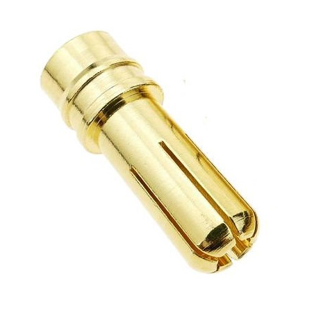Bullet 2mm Macho/(un)