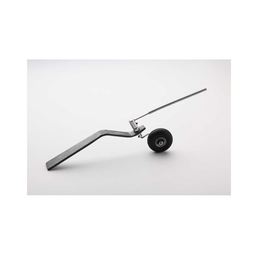 Trem de Cauda Carbono 220