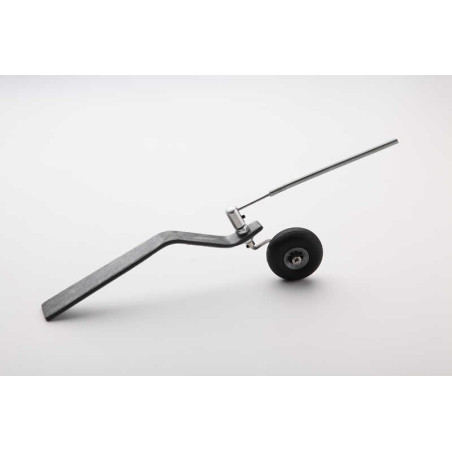 Trem de Cauda Carbono 220