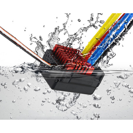 Speed controller Quicrun 