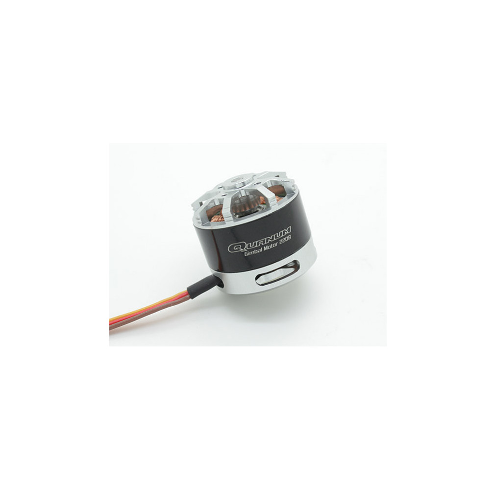 Quanum Guimbal motor 2208
