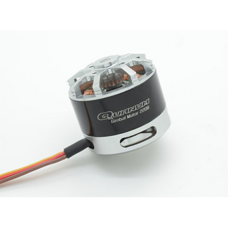 Quanum Guimbal motor 2208