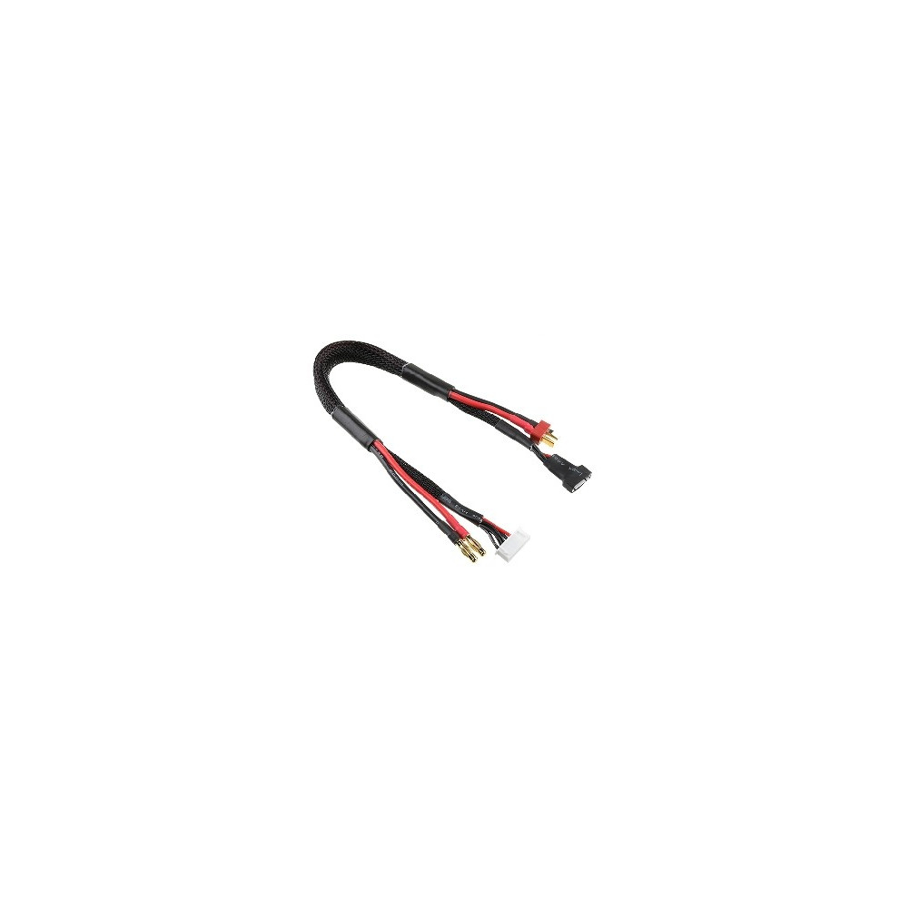 Charge/Balance Lead - T-P