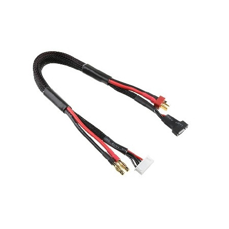 Charge/Balance Lead - T-P