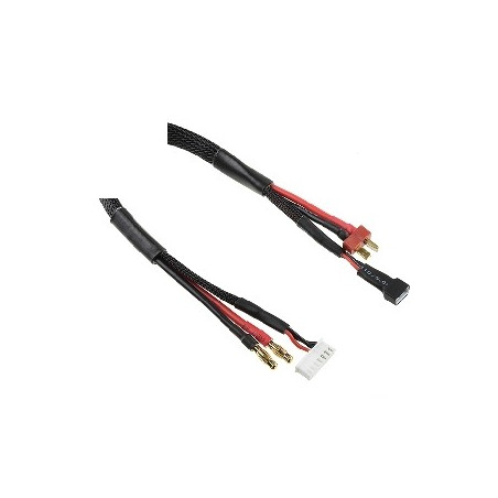 Charge/Balance Lead - T-P