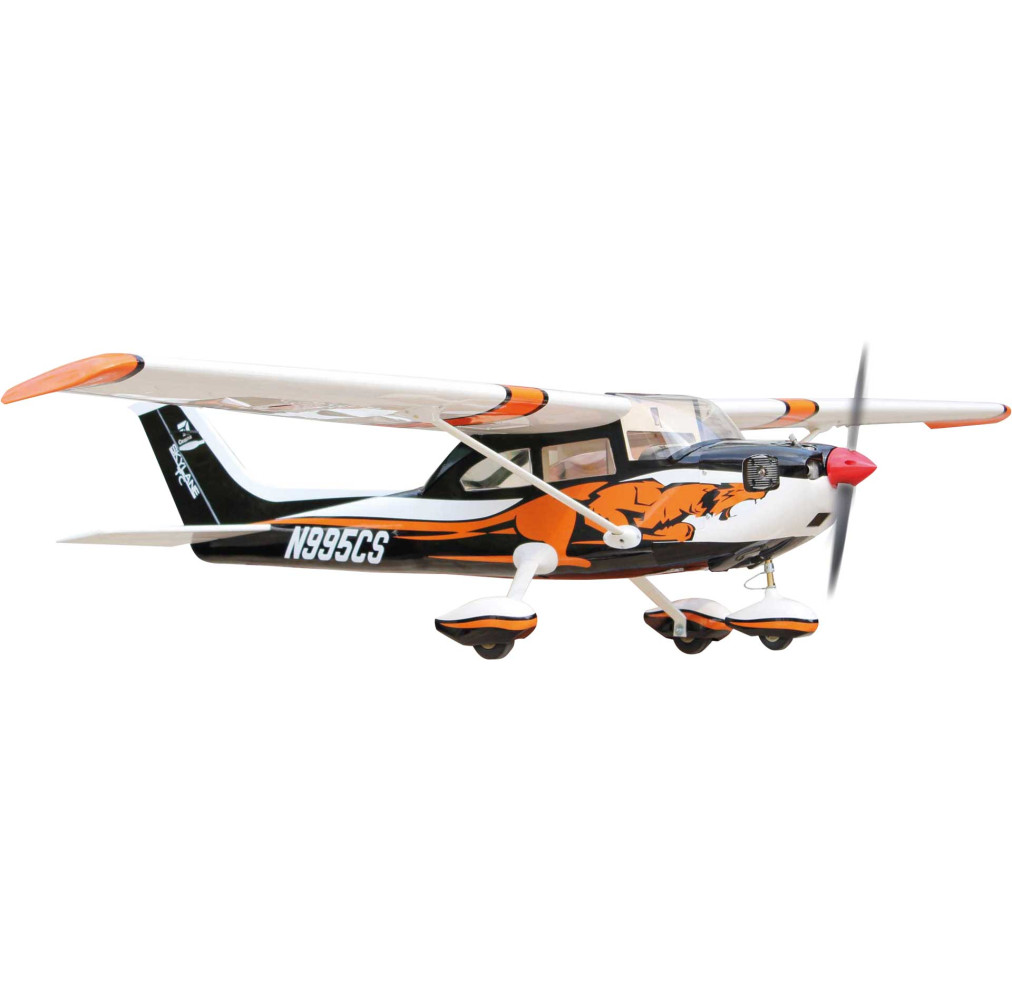 Seagull Models ( SG-Model