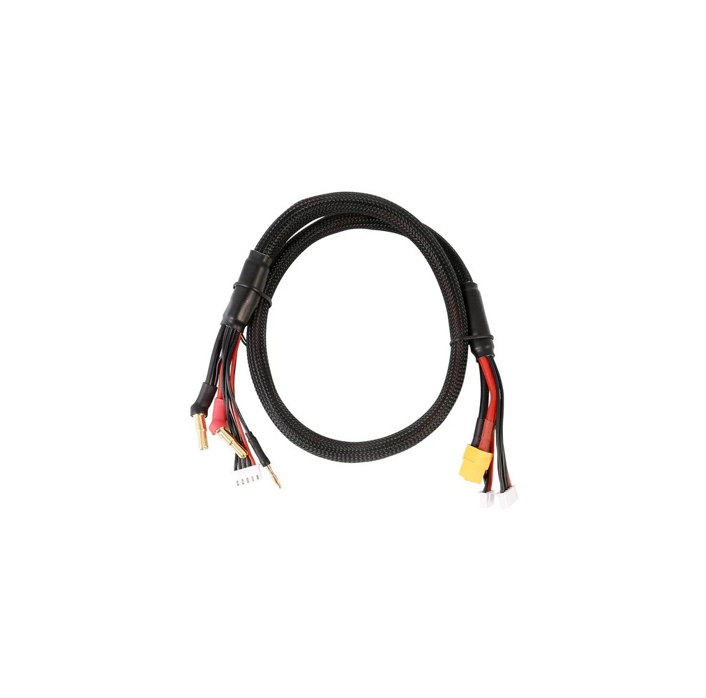 Gens Ace 2S/4S Charge Cab