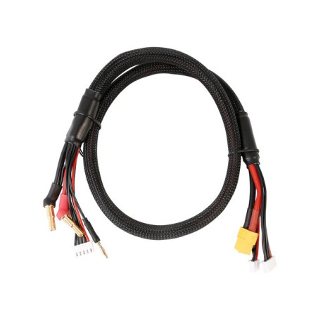 Gens Ace 2S/4S Charge Cab