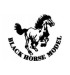 Black horse